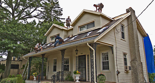 Best Roof Repair Services  in Old Jamestown, MO